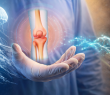 Jellyfish Collagen for Cartilage Regeneration